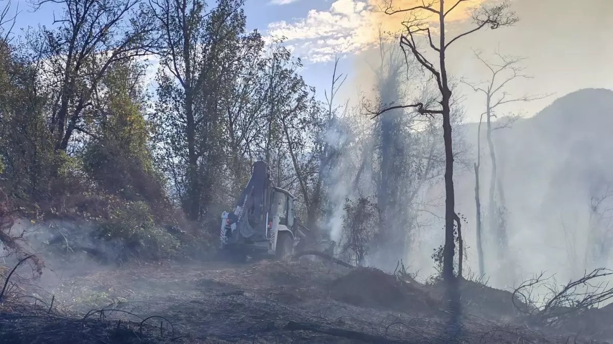 Artvin Hopa'da Bahçe Yangını Ormana Sıçradı