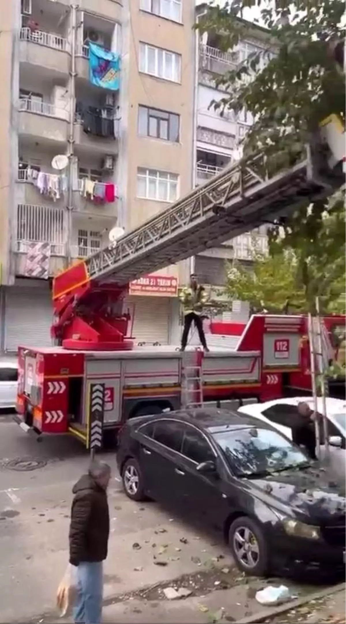 Diyarbakır'da Ağaçta Mahsur Kalan Kedi İtfaiye Ekipleri Tarafından Kurtarıldı