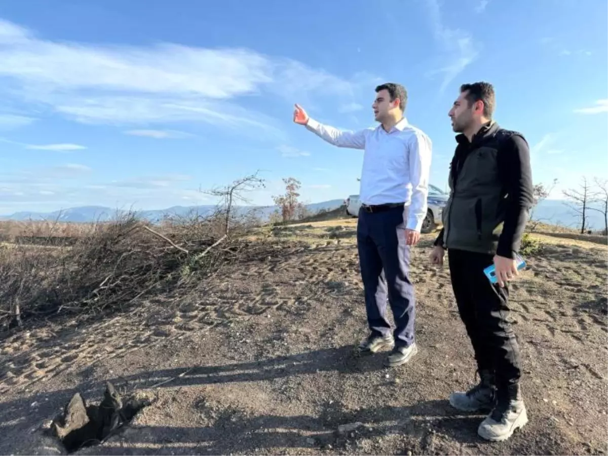 Osmaneli'de Orman Yangınlarından Etkilenen Alanlar Yeşil Alanlara Dönüşüyor