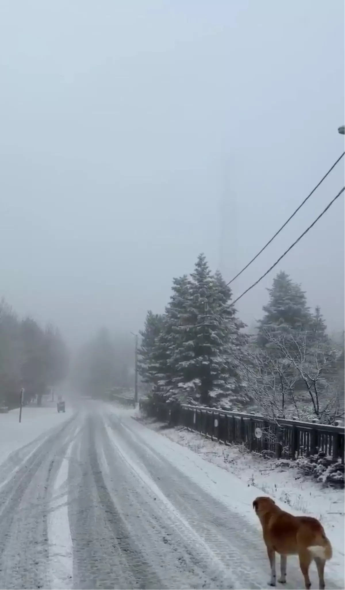 Uludağ'da Kar Yağışı Etkili Olmaya Devam Ediyor