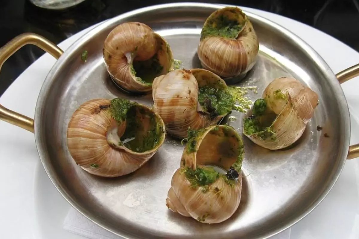 Fransa'da bir çiftlikten 4 milyon TL değerinde salyangoz çalındı