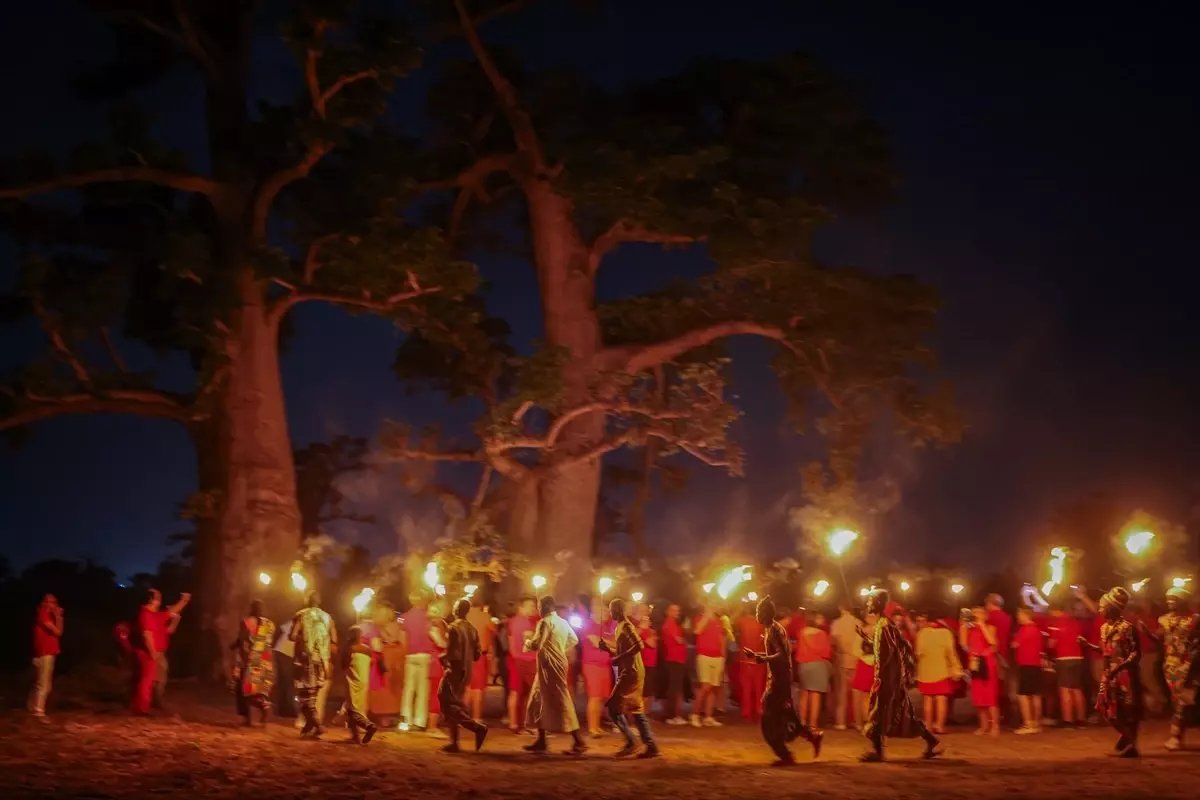 Senegal'de Baobab Ağaçları Arasında Kültürel Etkinlik Düzenlendi