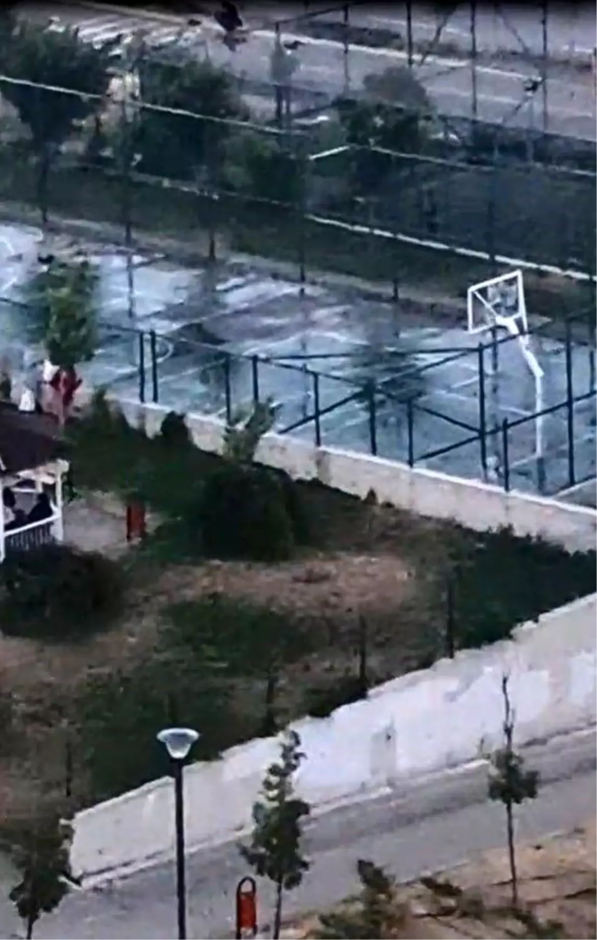 Ankara'da Pitbull Saldırısı: İki Çocuk Yaralandı, Sahibi Gözaltına Alındı