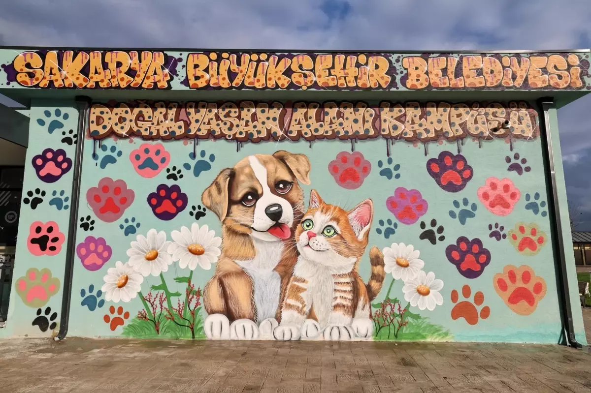 Sakarya'da Sokak Hayvanları Doğal Yaşam Kampüsüne Hayvanlar Alınmaya Başlandı