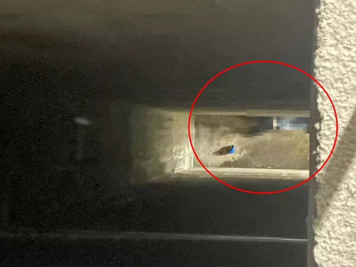 Hidroelektrik Santralinde Düşen İşçi Hayatını Kaybetti