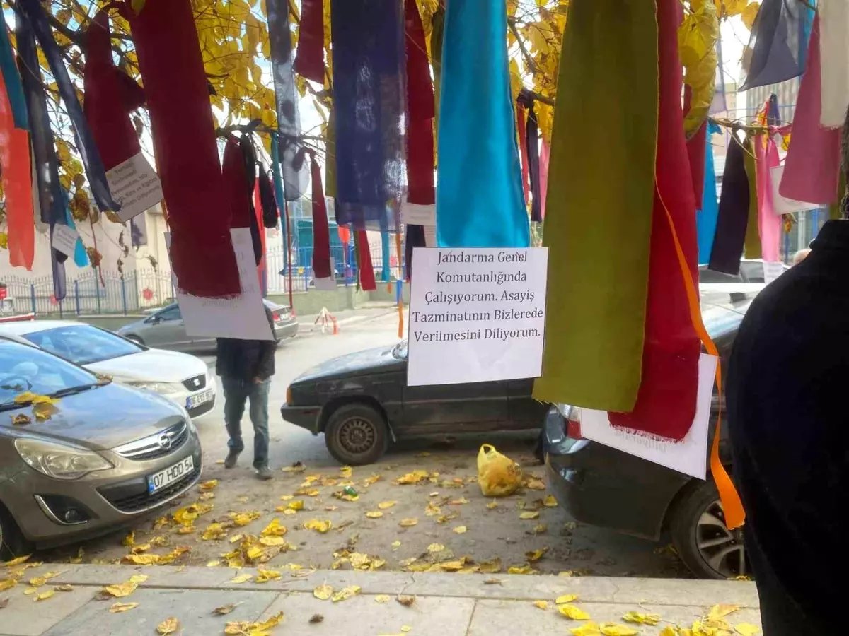 Memurlar bakanlığın önündeki ağacı 'dilek ağacı'na çevirdi