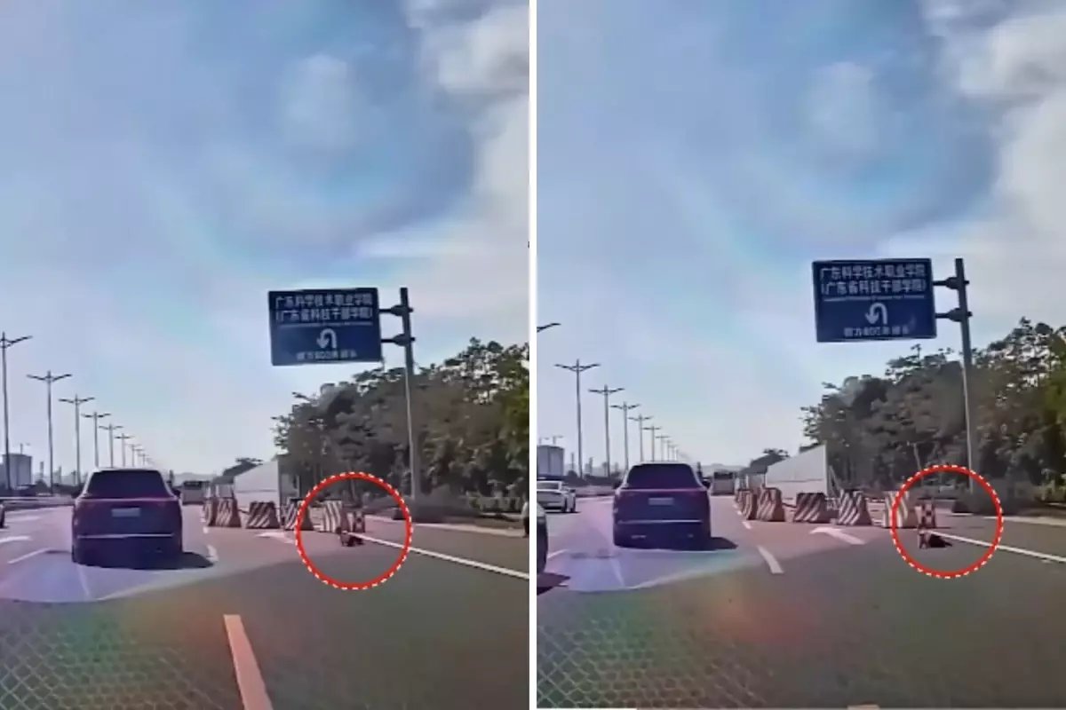 Yüreklerin ağızlara geldiği an! Küçük çocuk emekleyerek otobana çıktı