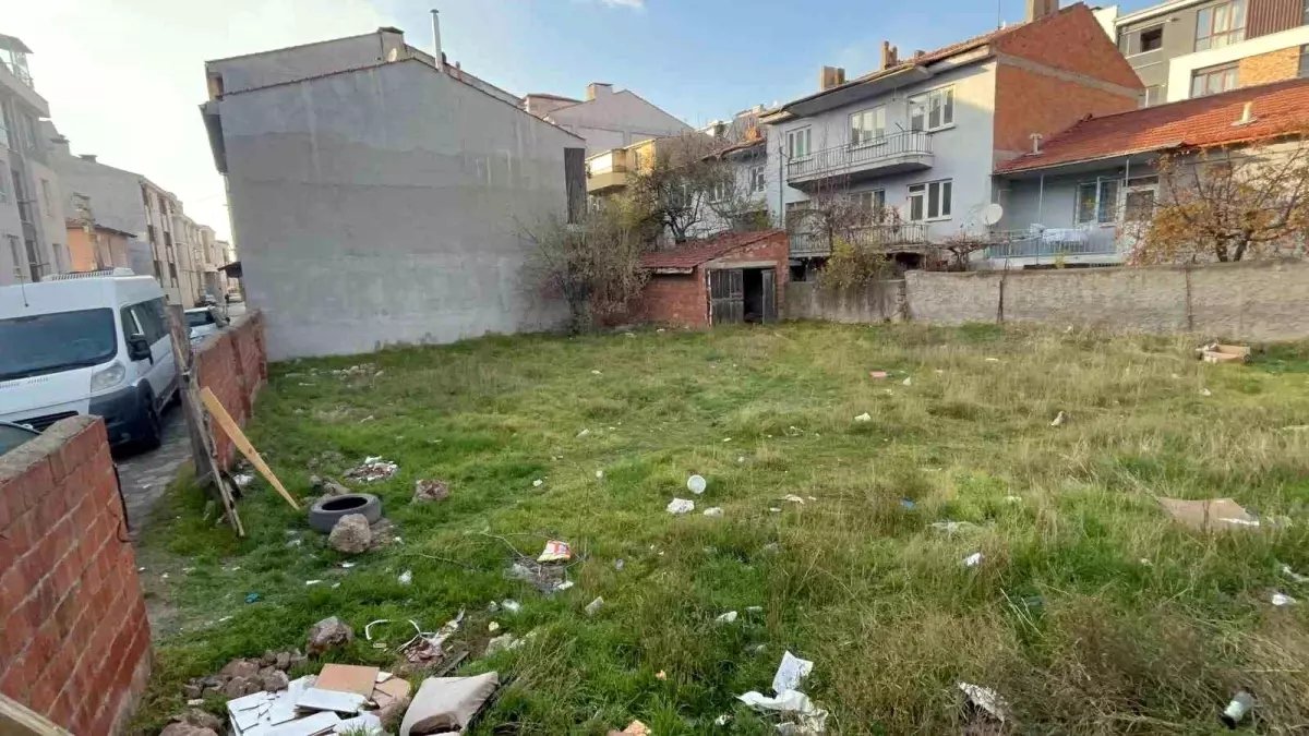 Eskişehir'de boş arsada 8 ölü kedi bulundu