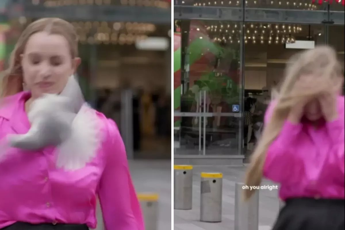 Canlı yayında martı saldırısına uğrayan kadın muhabir kanlar içinde kaldı