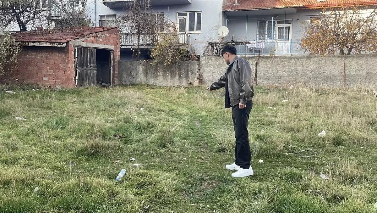 Eskişehir'de boş arazide şiddete uğradıkları değerlendirilen 8 kedi ölüsü bulundu