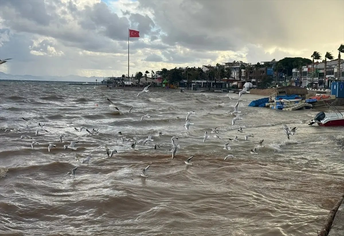 Aydın'da şiddetli yağış etkili oldu