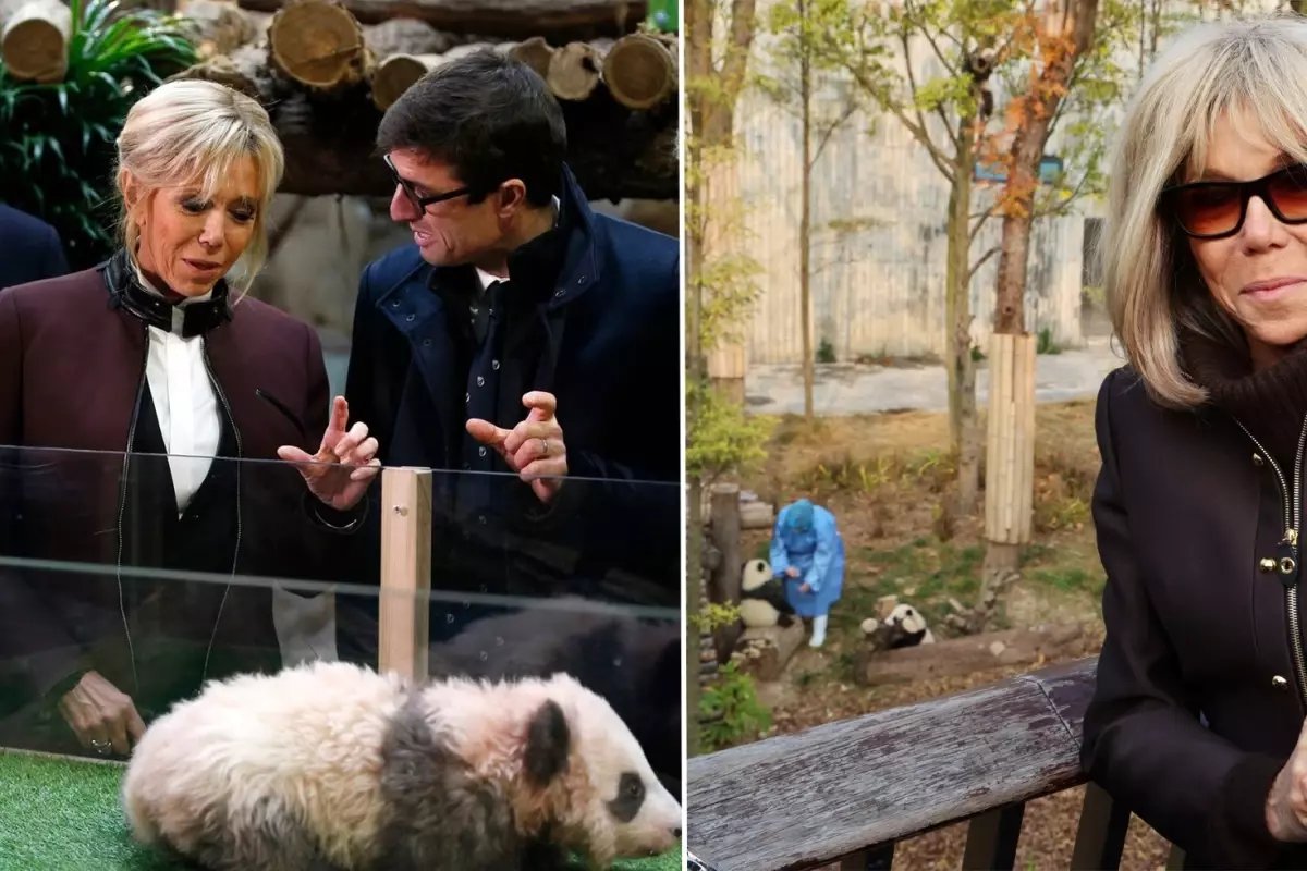 First Lady Macron, eski dostu Panda Yuan Meng ile Çin'de buluştu