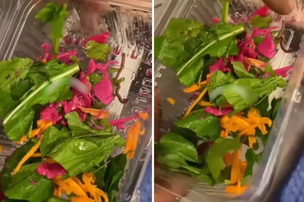 Pidecideki salatadan çıkan yok artık dedirtti