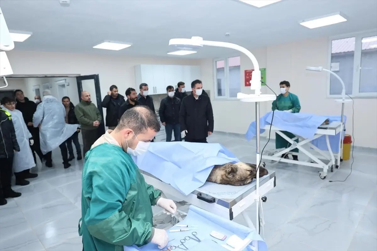 Bitlis Valisi Karakaya hayvan bakımevindeki kış hazırlıklarını inceledi