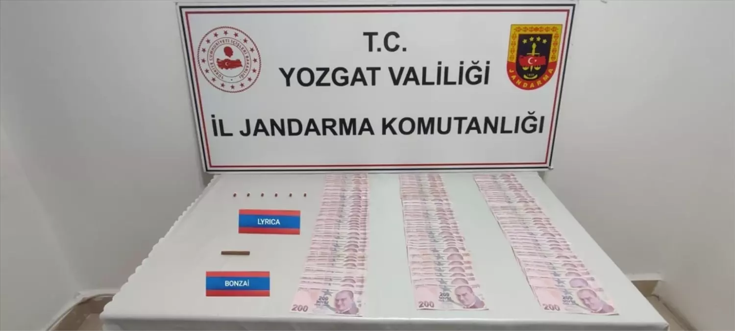 Yozgat'ta uyuşturucu operasyonunda 1 zanlı yakalandı