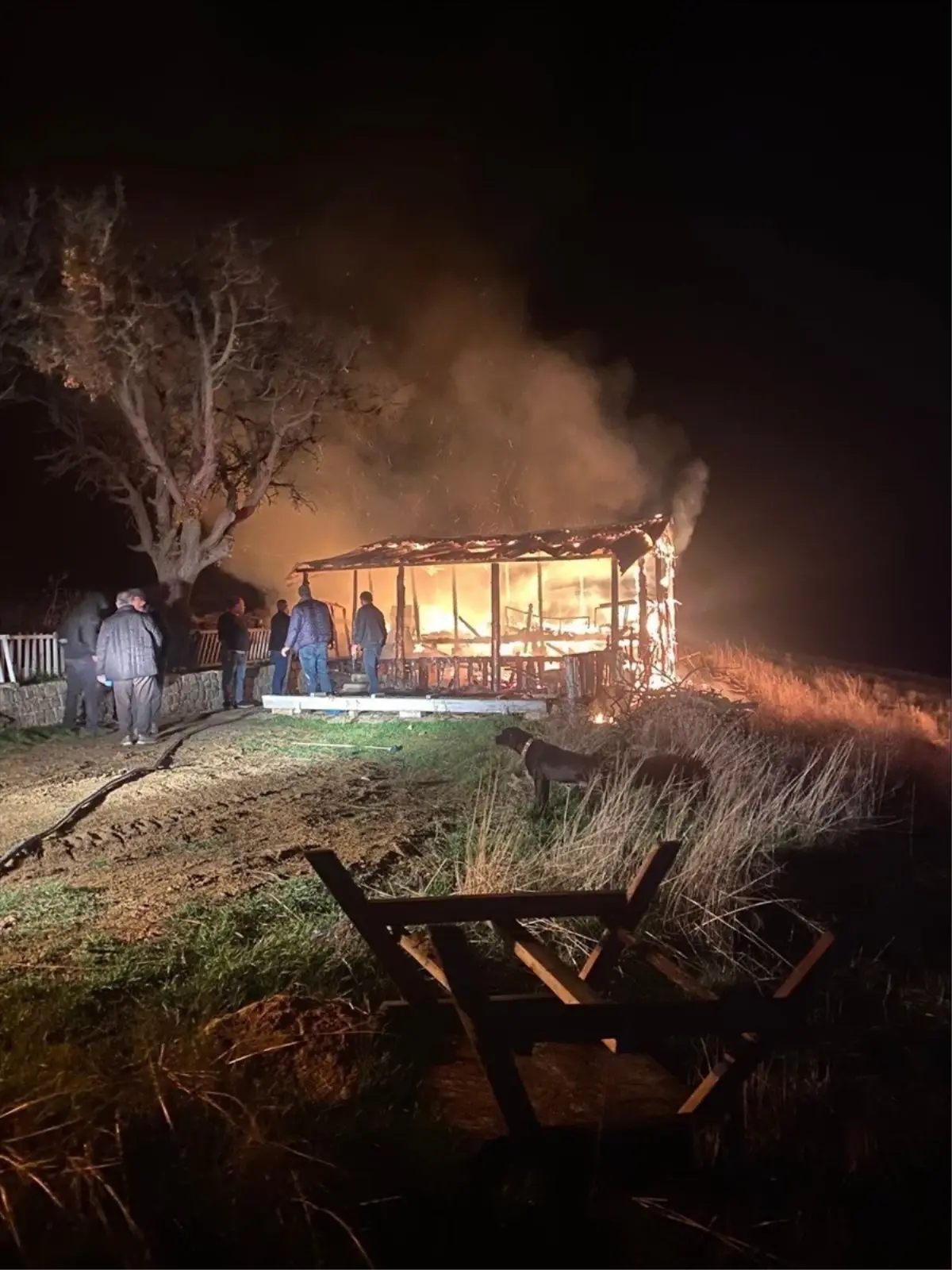 Bilecik'te mangal ateşiyle çıkan yangın itfaiye ekiplerince söndürüldü