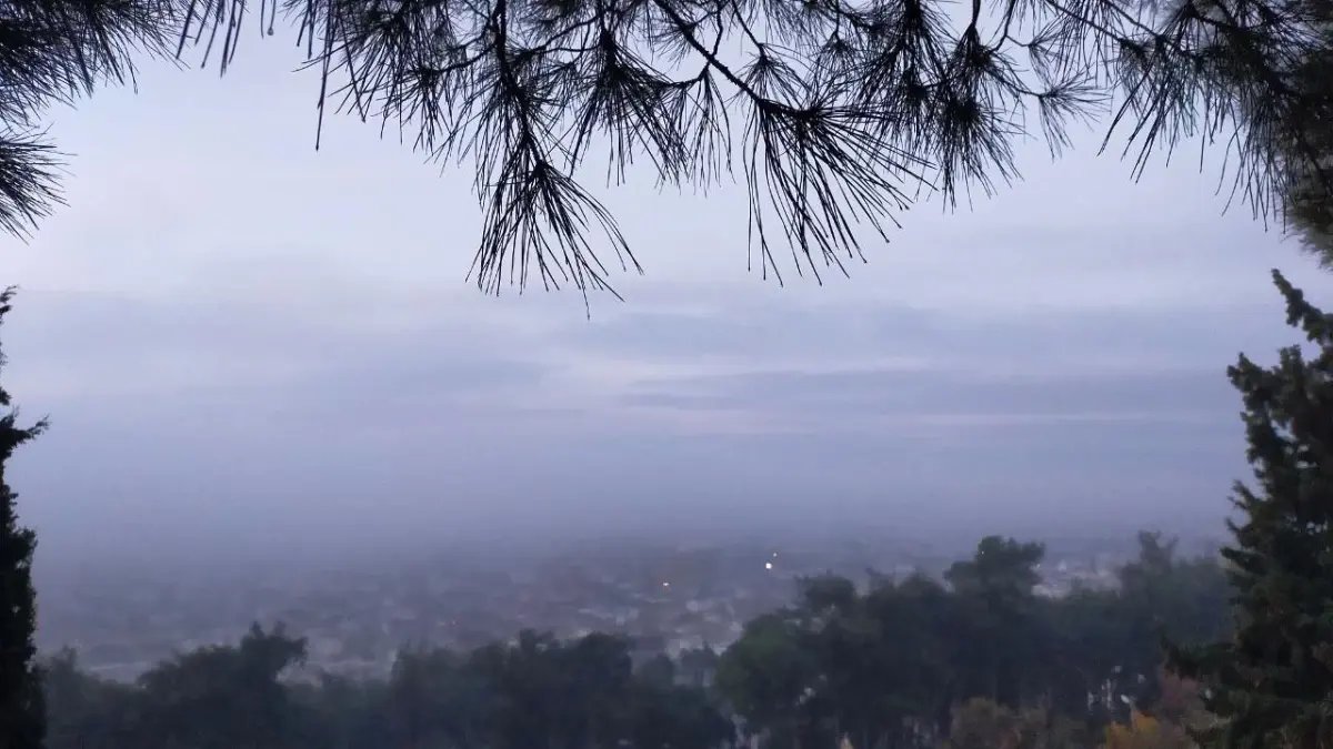 Aydın'da puslu sabah manzaraları mest etti