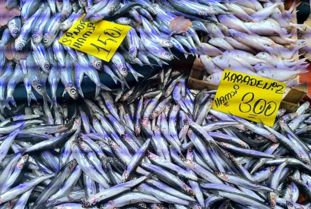 Havaların soğumasıyla balık tezgahlarında alışverişler hızlandı