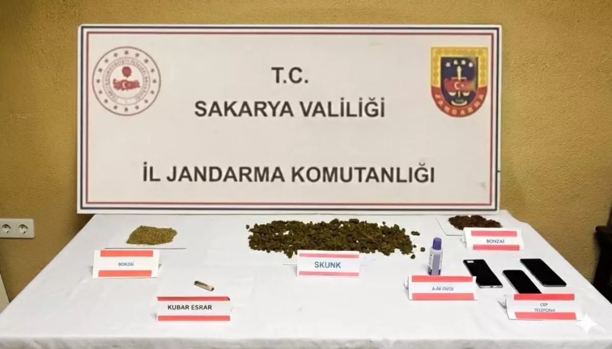 Jandarmadan uyuşturucu baskını: Ev sahibi tutuklandı