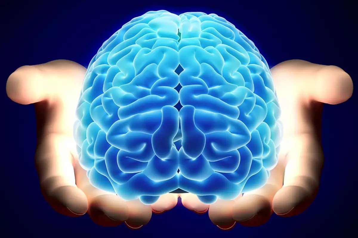 Nörologlar beyin için en zararlı 6 gıdayı açıkladı