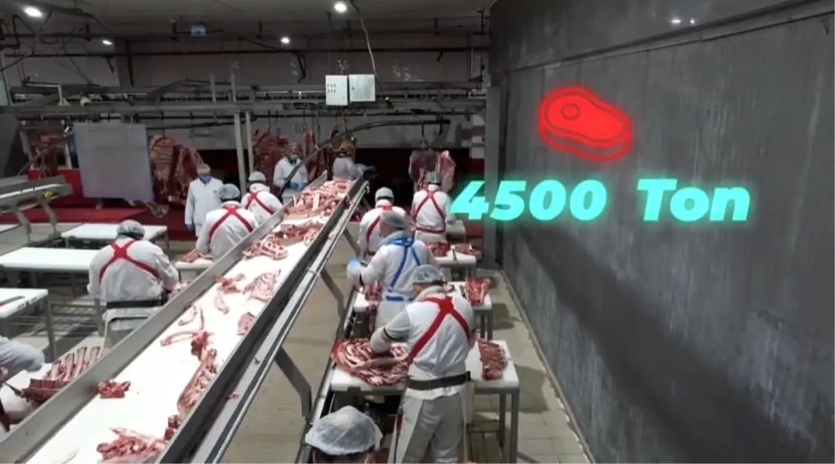 Bakan Yumaklı, "4 bin 500 ton kırmızı et üretimi ile Elazığ'ın tarımsal ve ekonomik potansiyeline güçlü bir katkı sağlayacağız"