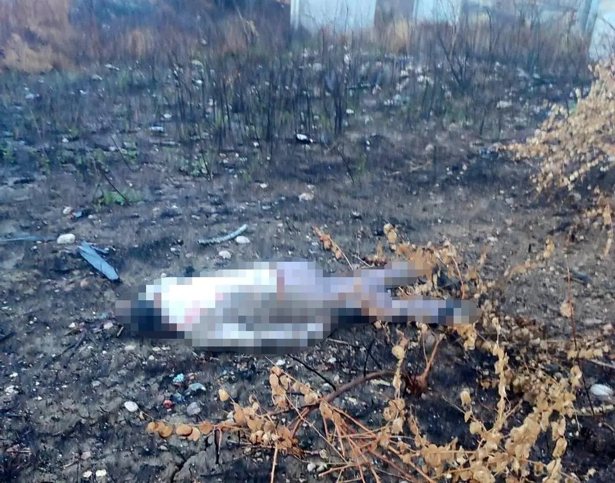 Mersin'de kaza yapan araç otoyolda, sürücüsü 30 metrelik köprünün altında ölü bulundu