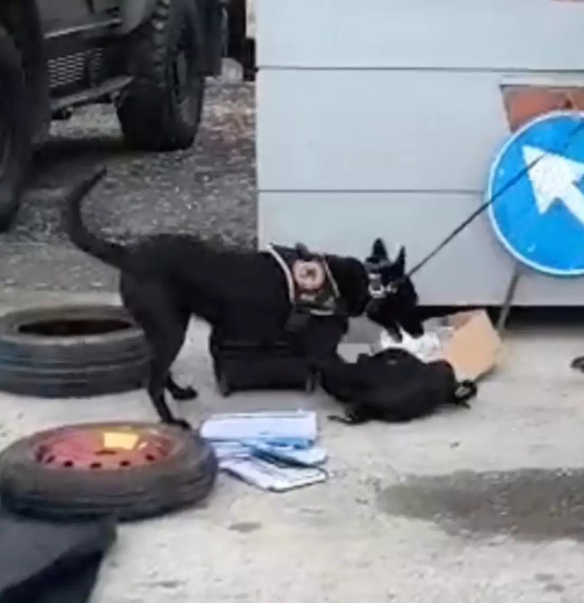 Erzincan'da 1 kilo kokain ele geçirildi
