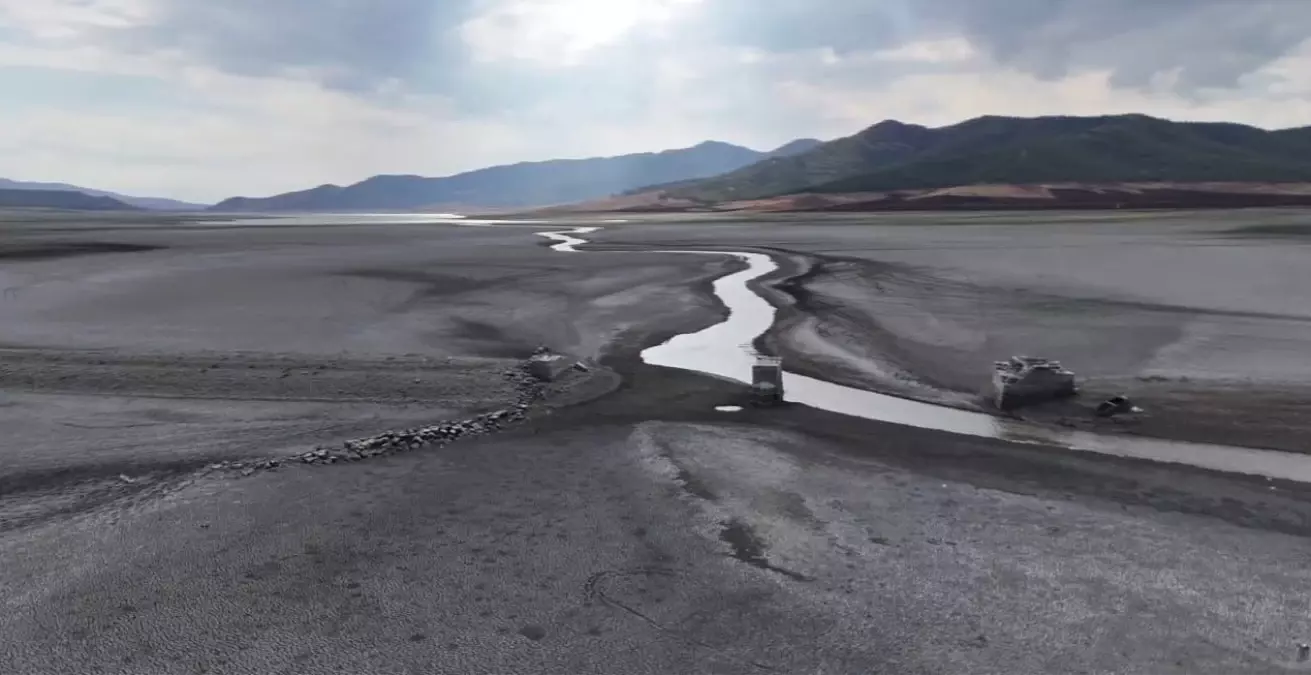 'Kuraklık milyonlarca insanın göçüne neden olabilir'