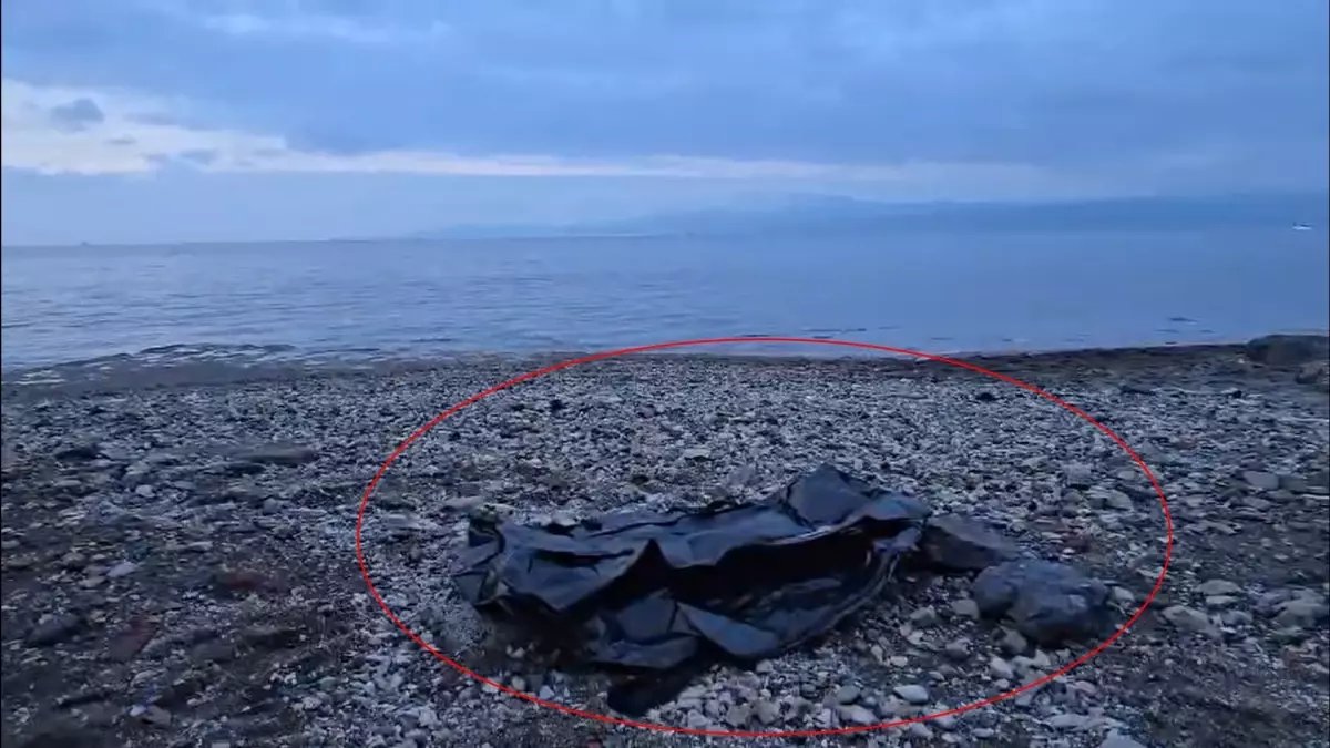 Mudanya Sahilinde Erkek Cesedi Bulundu