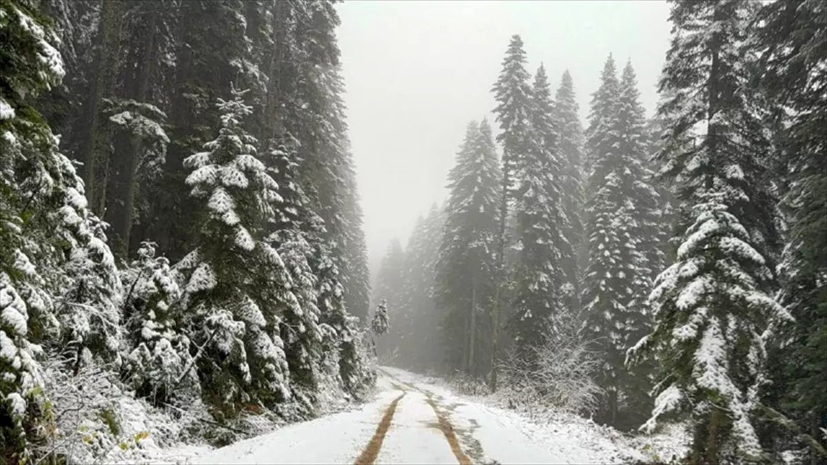 Karabük'ün yüksek kesimleri beyaza büründü