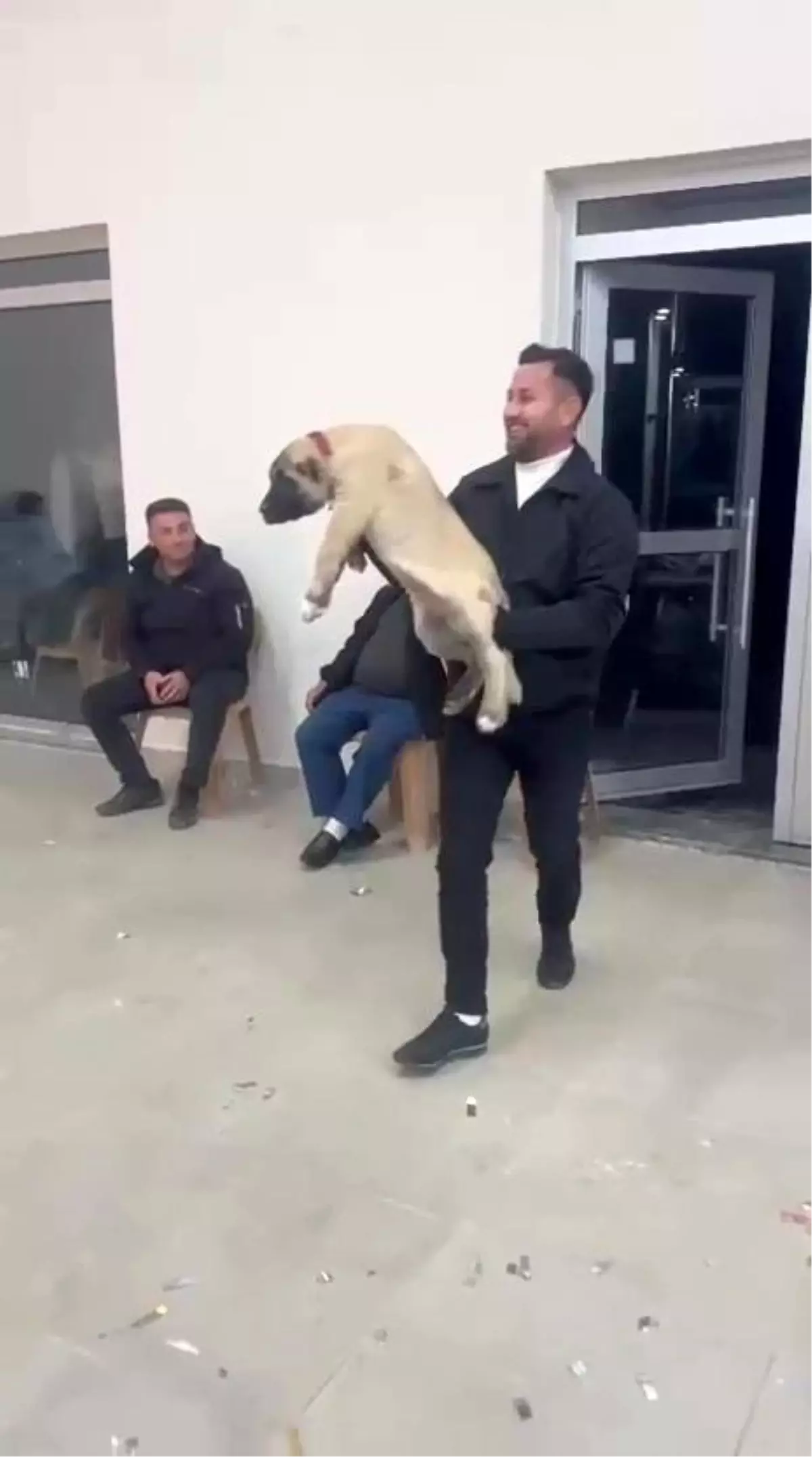 Damadın arkadaşı düğün hediyesi olarak 100 bin liralık köpek hediye etti