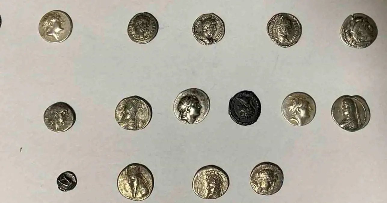 Hatay'da 26 sikke kargo ile göndermek üzereyken ele geçirildi