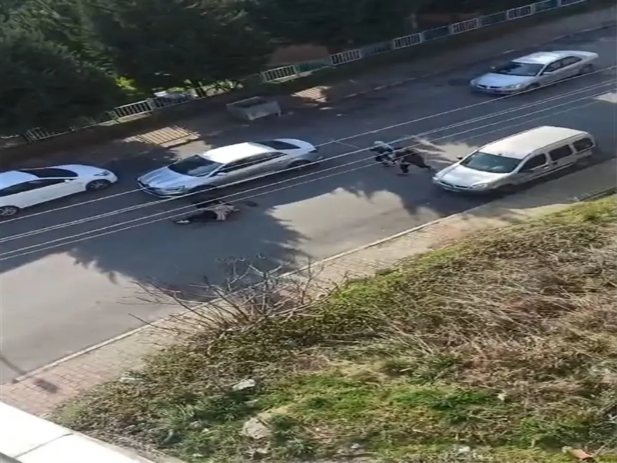 Boşandığı kadını sokak ortasında 15 yerinden bıçaklayan sanık için 21 yıla kadar hapis istemi