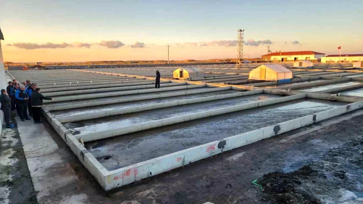 Çanakkale'deki deniz solucanları yetiştiriciliği tesisi sektörde tek