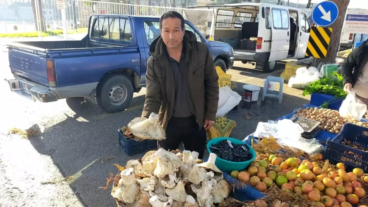 Aydın'daki dev mantarlar pazarda ilgi odağı oldu