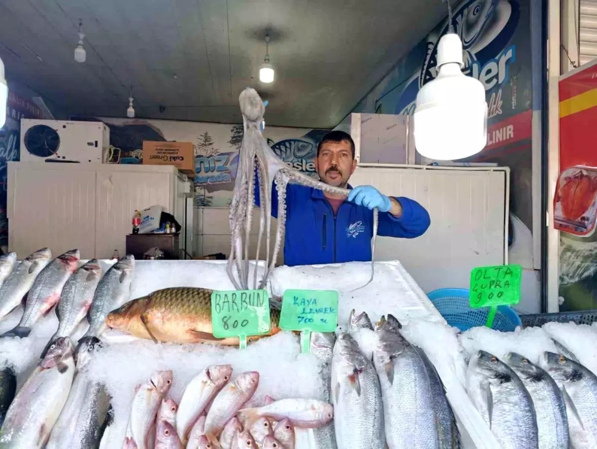 Denize kıyısı olmayan Kahramanmaraş'ta balığa yoğun ilgi