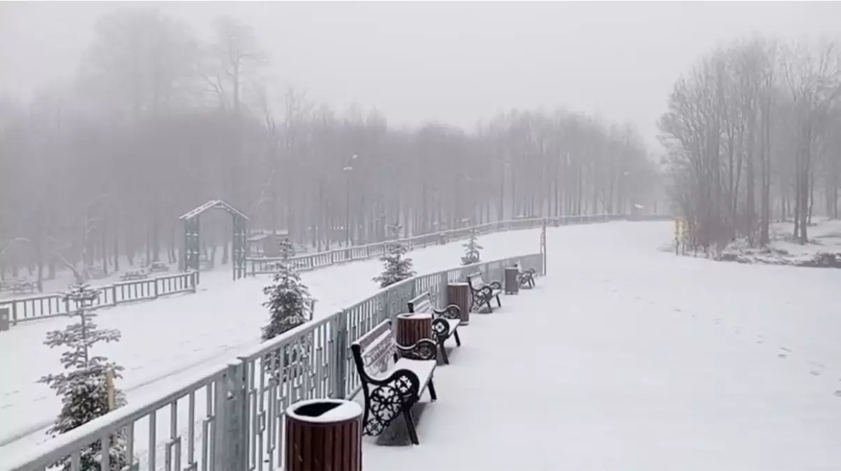 Kuzuyayla Tabiat Parkı beyaza büründü
