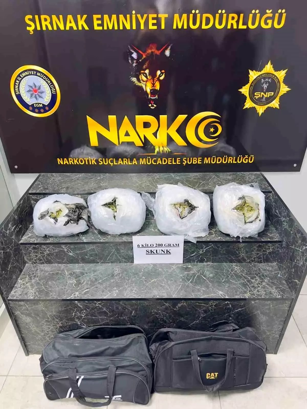 Şırnak'ta 6 kilo 200 gram skunk ele geçirildi