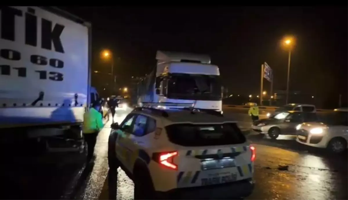 Bitlis'te tır dorsesinde 31 göçmen yakalandı