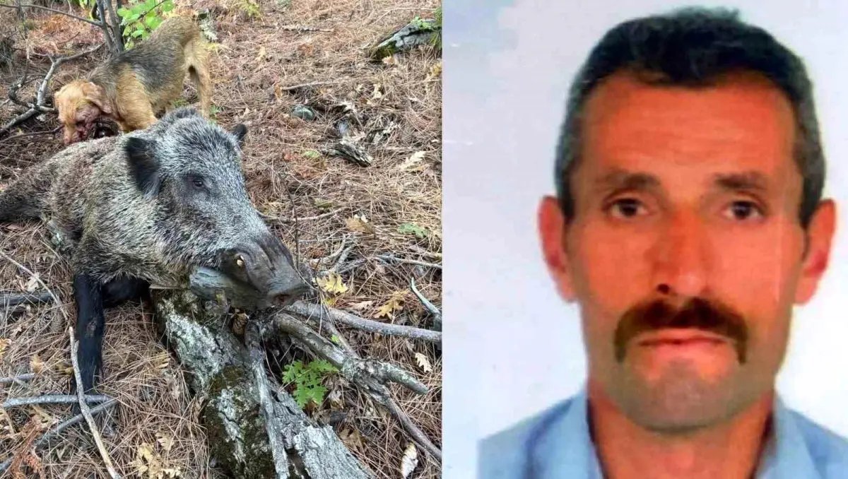 Domuz saldırısı can aldı