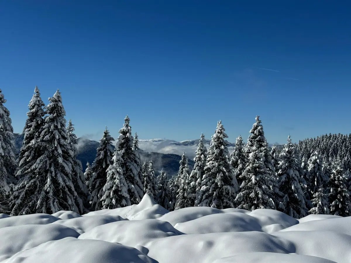 Çambaşı Yaylası'nda Karla Kaplı Güzel Görüntüler