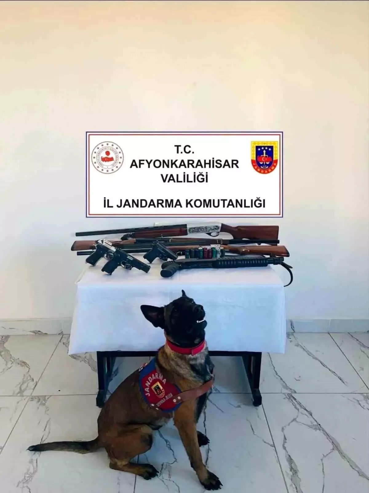 Jandarmadan ruhsatsız silah operasyonu