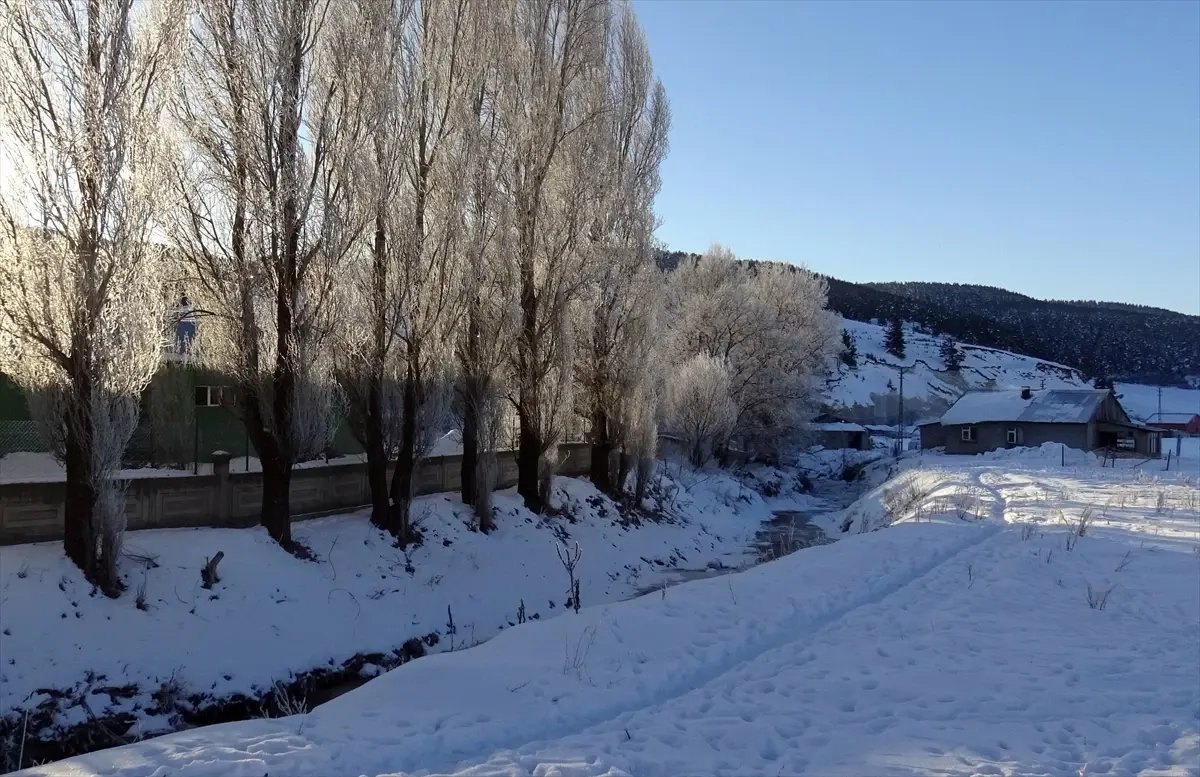 Kars, Ardahan ve Ağrı'da dondurucu soğuklar etkisini sürdürüyor