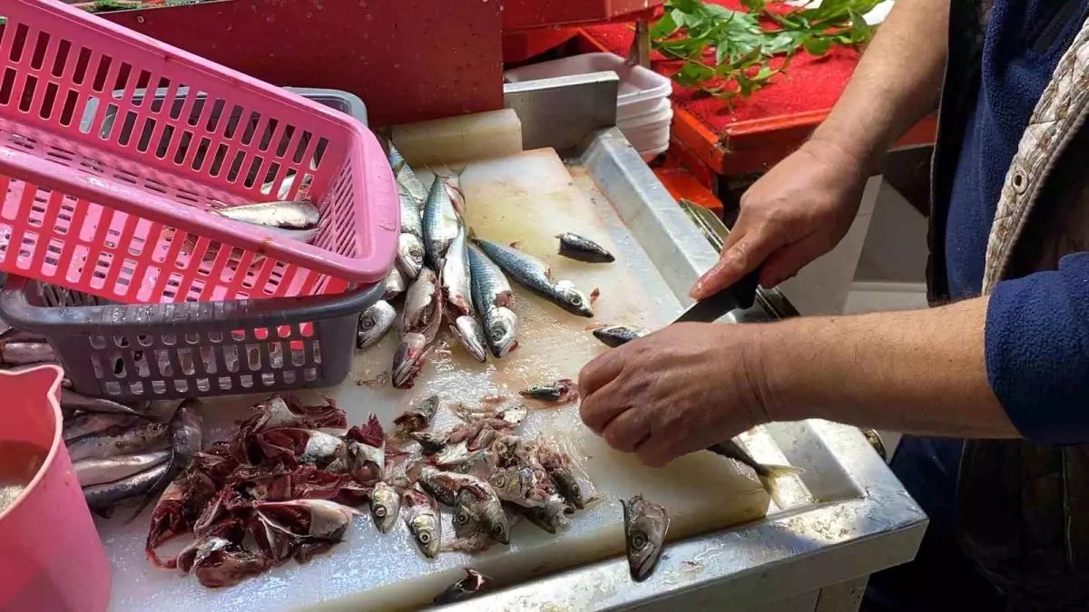 Doğru bilinen yanlışı uzmanı açıkladı: "Gözüne bakıp tazeliğini anlarım diyen yalan söyler"