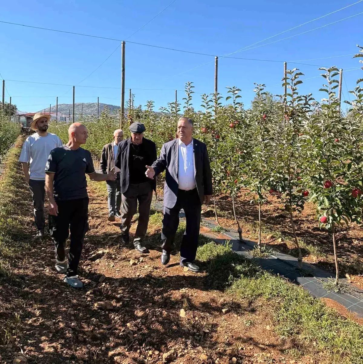 ÇKS başvurularında son gün 31 Aralık