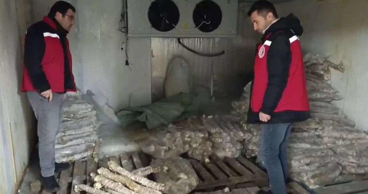 Manisa'da 4 Milyon Lira Değerinde Bozulmuş Kokoreç Ele Geçirildi