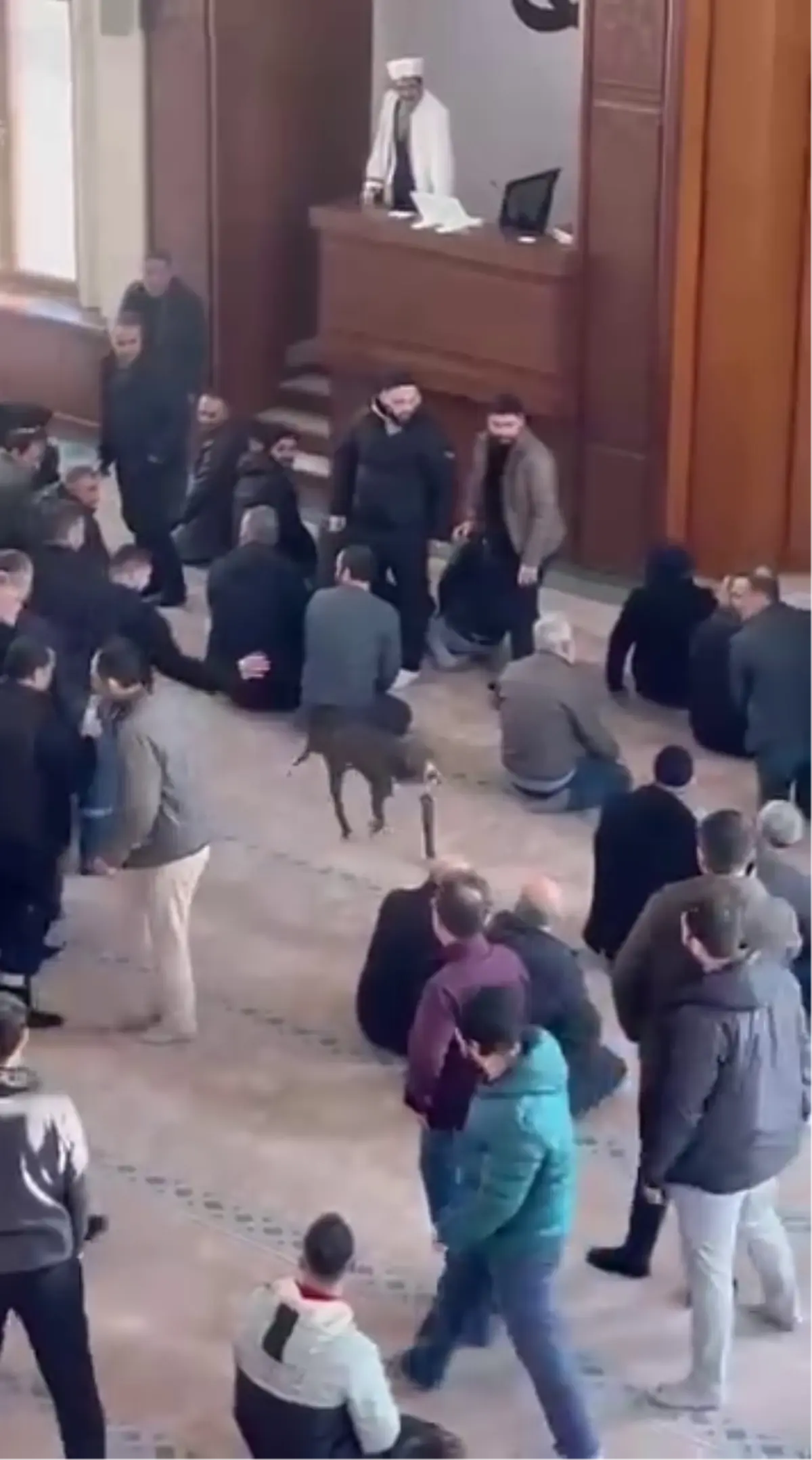 Cuma vaazı sırasında camiye pitbullun girdiği anlar kamerada