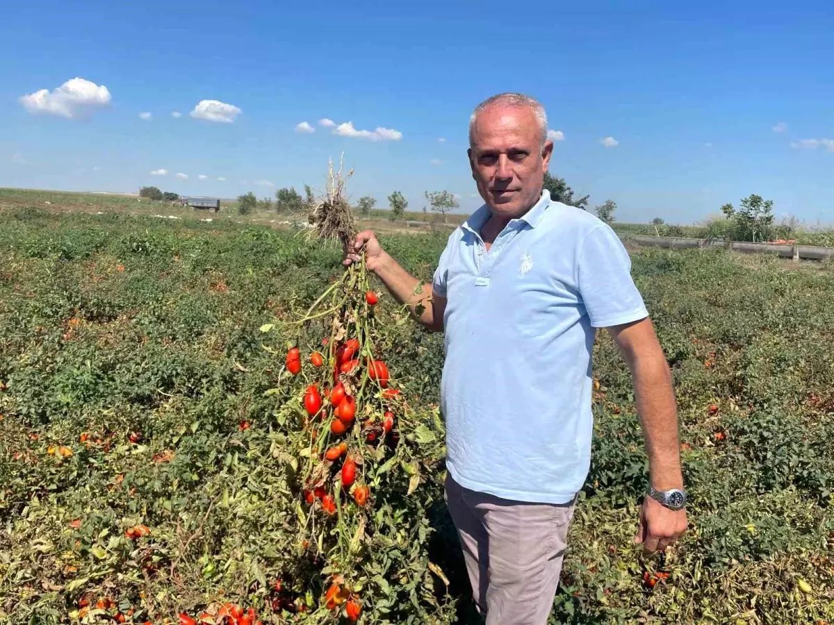 Dedesi seçimde muhtar oldu adına "Seçim" konuldu