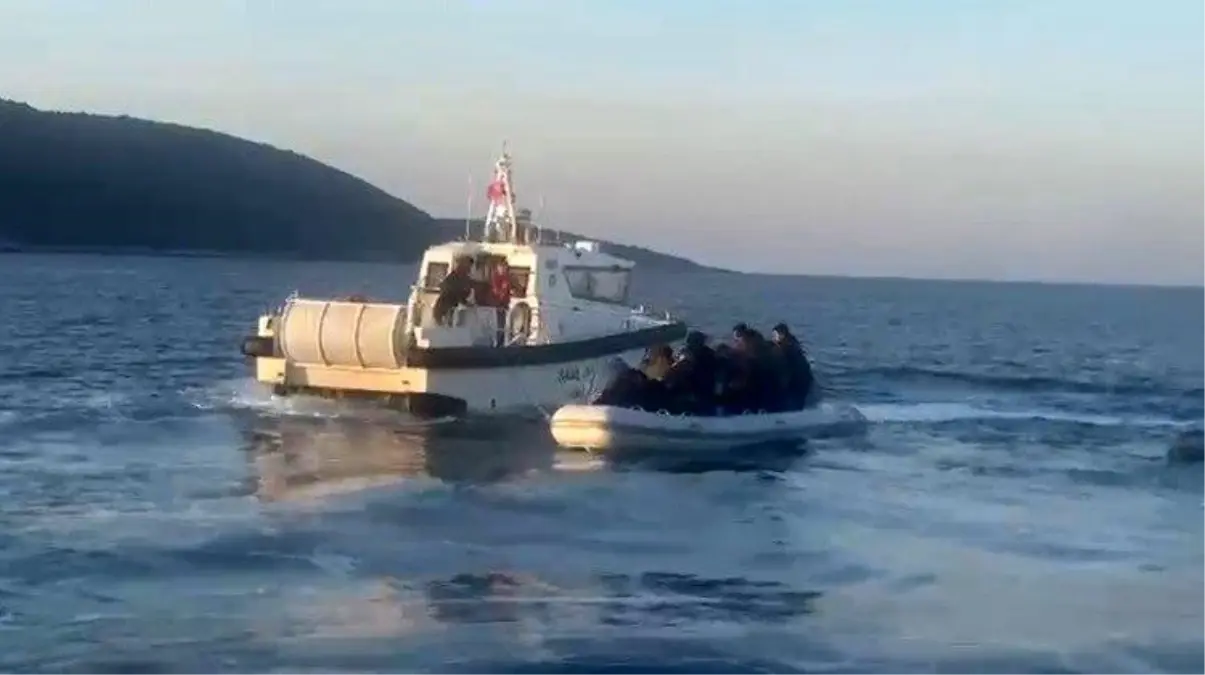 Aydın'da 12 düzensiz göçmen ve 1 göçmen kaçakçısı yakalandı