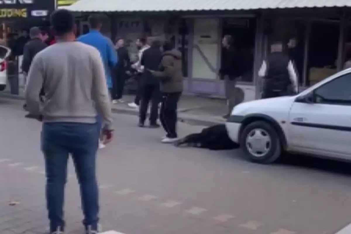 Eşini, kızının yanında öldürüp kayıplara karıştı